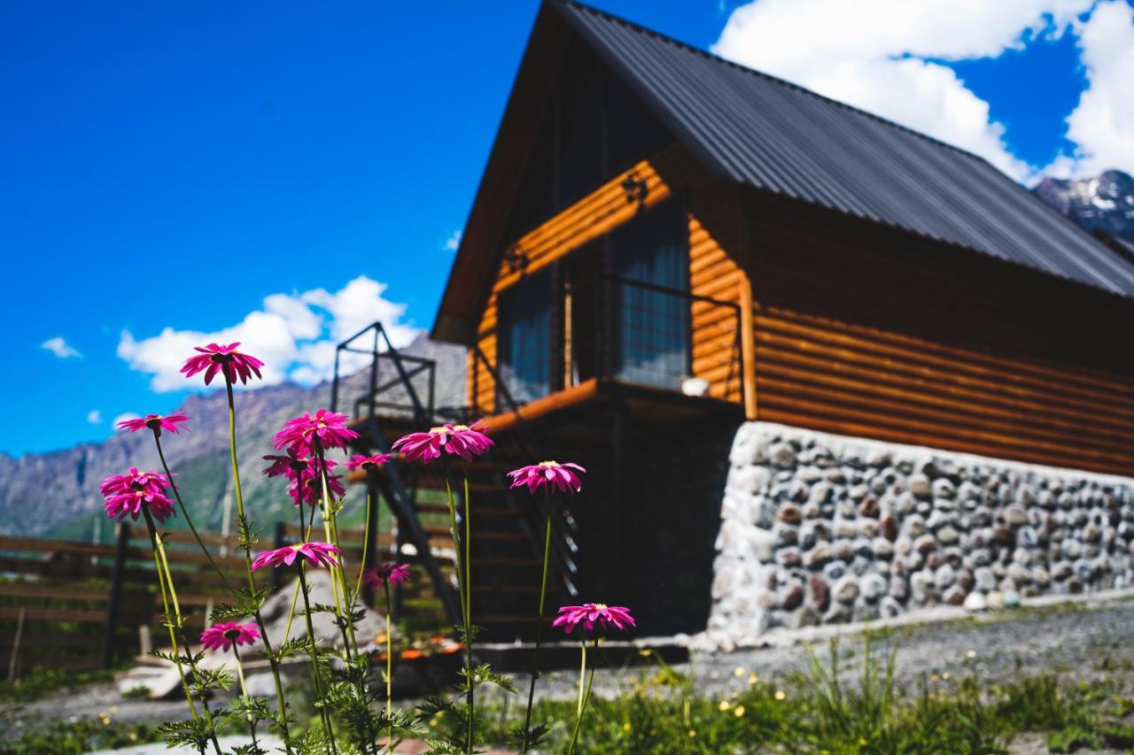 Traveler'S Cottages In Kazbegi Exteriör bild