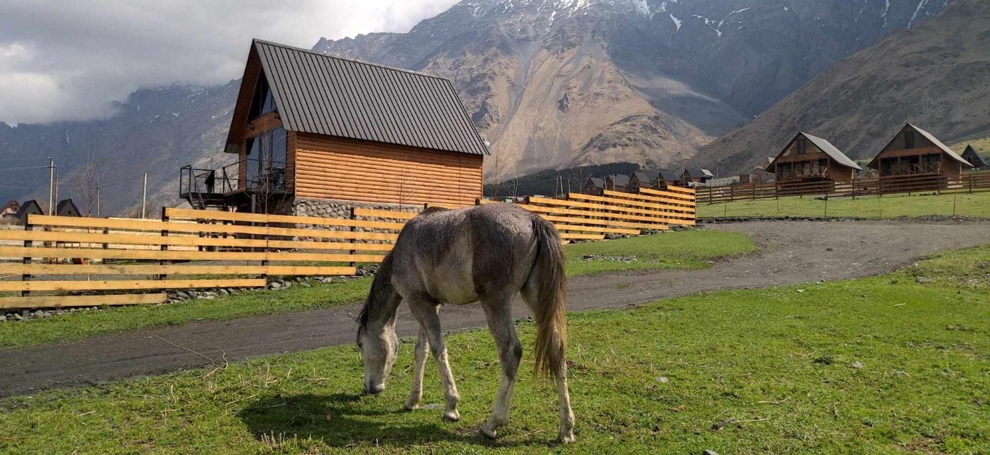 Traveler'S Cottages In Kazbegi Exteriör bild